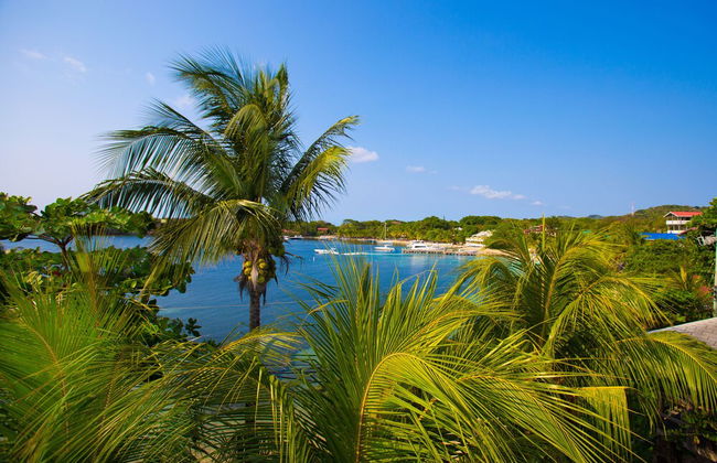 Bella Luna Beach House #227473 - Photo 18