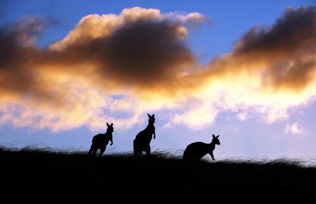 Sky House Kangaroo Island - Foto 9