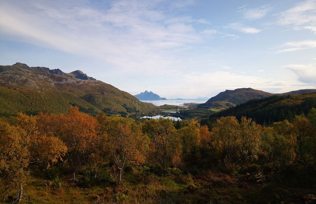 Hagstua - Photo 18