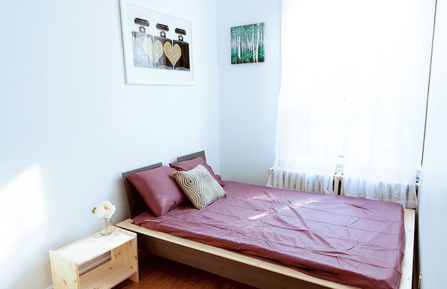 2 Bedrooma Apartment near Kensington Market - Unit 1 - Photo 3