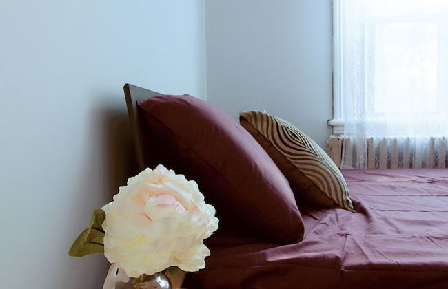 2 Bedrooma Apartment near Kensington Market - Unit 1 - Photo 9