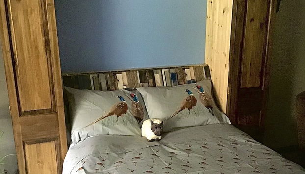 Quarto