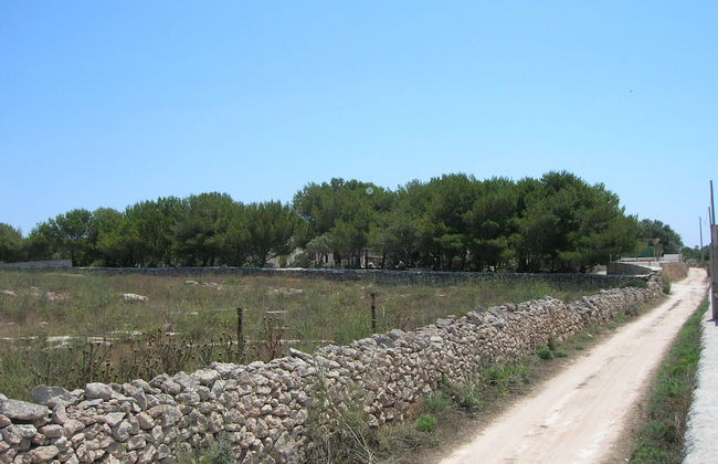 Room in House - Magical Holidays in a Dammuso in Favignana Nestled in a Wonderful Pine Forest - Foto 11