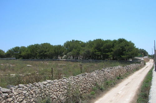 Photo 11 - Room in House - Magical Holidays in a Dammuso in Favignana Nestled in a Wonderful Pine Forest