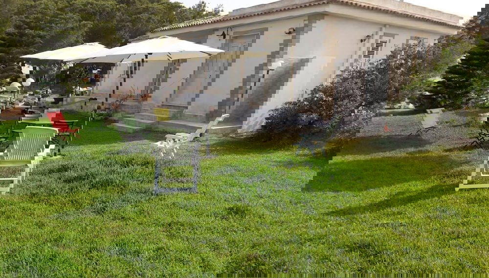 Imagem principal