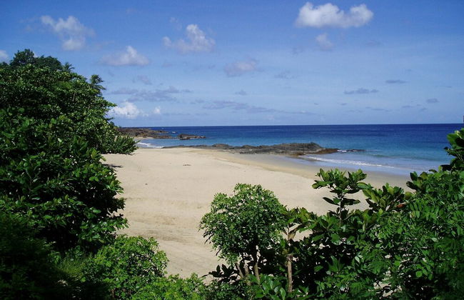 Croton Studio at Sungold House Barbados - Foto 11