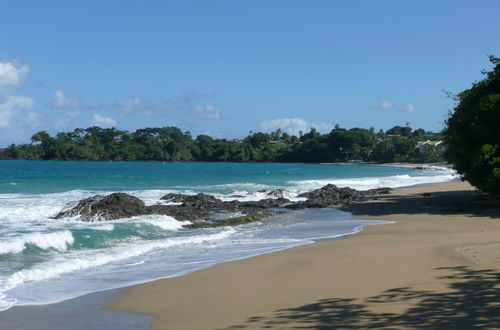 Photo 10 - Croton Studio at Sungold House Barbados