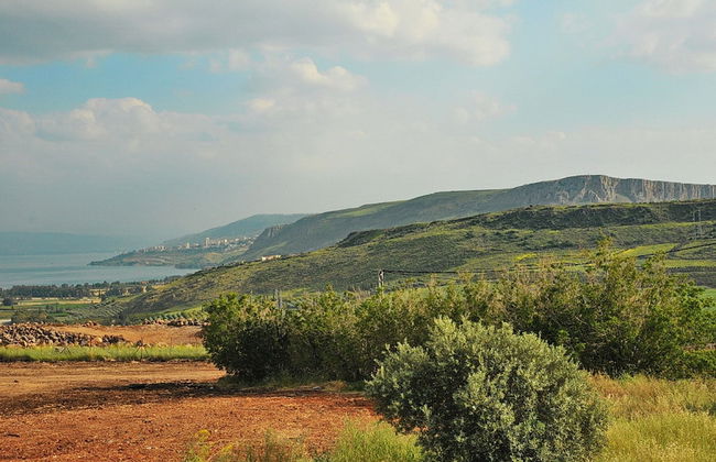 Mul Kineret Suites - Foto 50