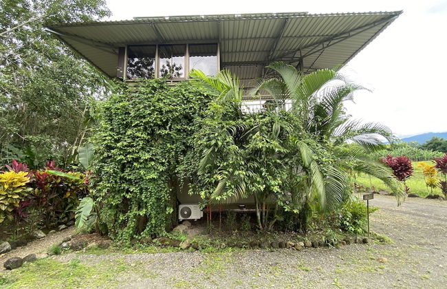 Eco Hotel Pata Palo - Foto 16