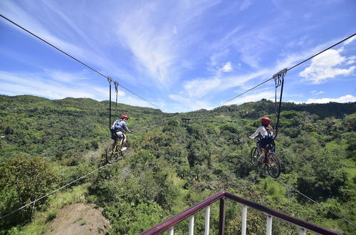 Photo 15 - Cebu Safari and Adventure Park