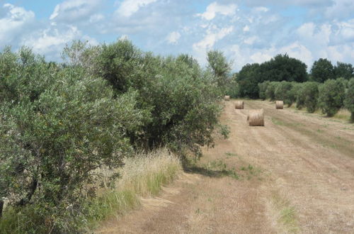 Photo 17 - Splendid Relaxing Stay in the Tuscan Countryside