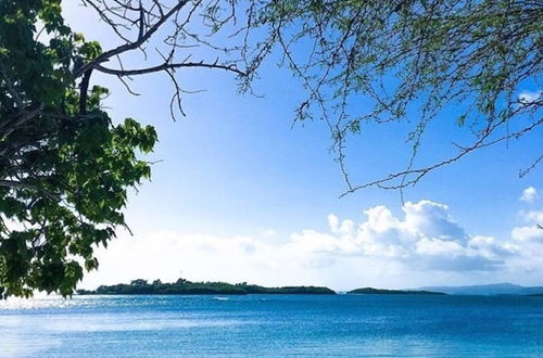 Photo 37 - Guanica Malecon Bay House