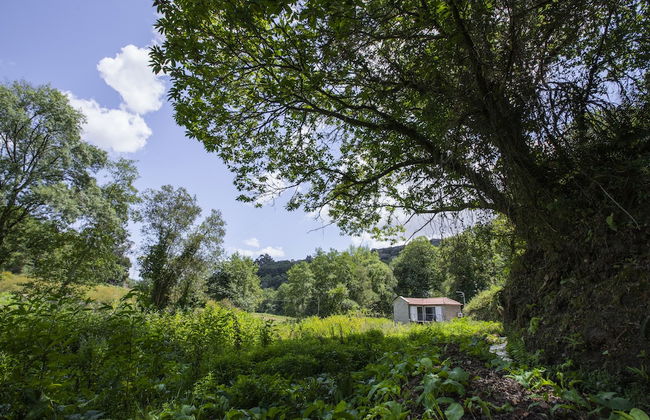 Serene Cottage Retreat - Foto 31