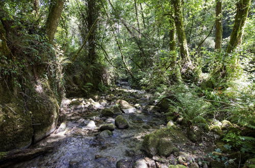 Photo 45 - Country House by the River - National Park