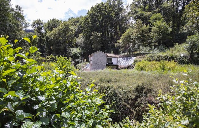 Serene Cottage Retreat - Foto 33