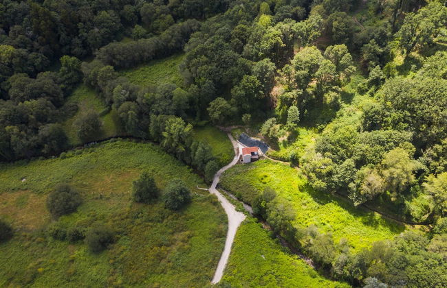 Serene Cottage Retreat - Foto 43