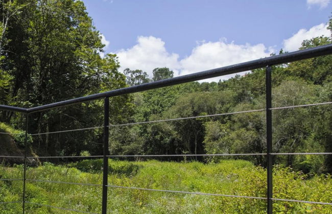 Serene Cottage Retreat - Foto 33