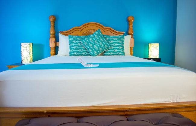 Casa Alexandria Guest Apartment - Photo 6