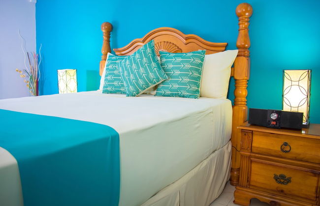 Casa Alexandria Guest Apartment - Photo 3