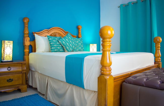 Casa Alexandria Guest Apartment - Photo 8