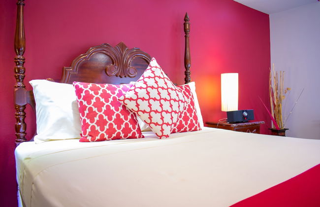 Casa Alexandria Guest Apartment - Photo 2