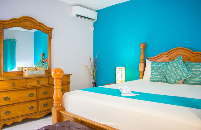 Casa Alexandria Guest Apartment - Photo 10
