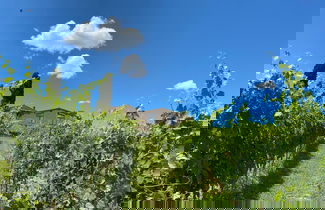 Photo 56 - Tenuta Sovestro