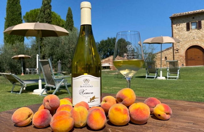Tenuta Sovestro - Agriturismo e Winery - Foto 42