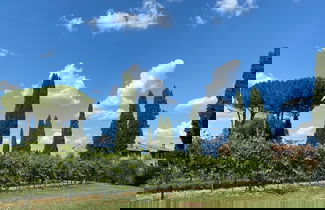 Photo 63 - Tenuta Sovestro