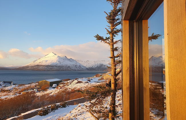 Tiny Home in Isle of Skye-pet Friendly - Photo 43
