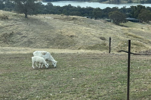 Foto 68 - Burnt Creek Cottages Mansfield