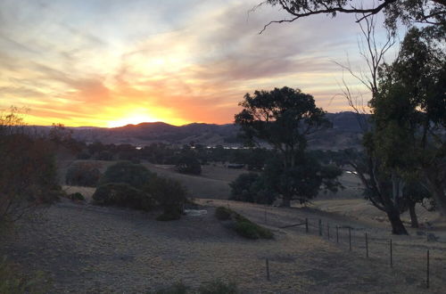 Photo 62 - Burnt Creek Cottages Mansfield