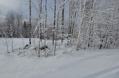 Photo 74 - Mattawa River Resort