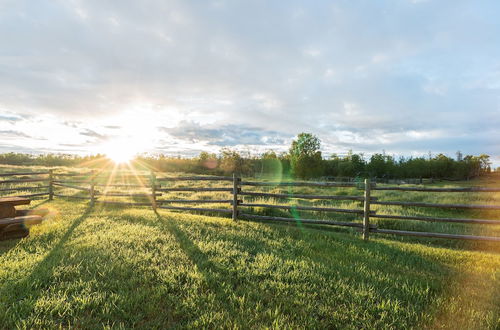 Photo 78 - Meadow Lake Guest Ranch