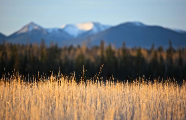 Meadow Lake Guest Ranch - Foto 79