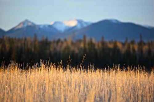 Photo 79 - Meadow Lake Guest Ranch