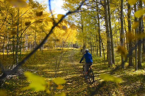 Photo 72 - Meadow Lake Guest Ranch