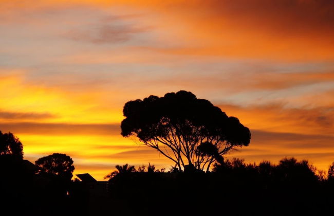 Lindsays of Kangaroo Island - Foto 18
