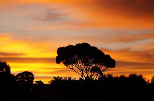 Photo 18 - Lindsays of Kangaroo Island