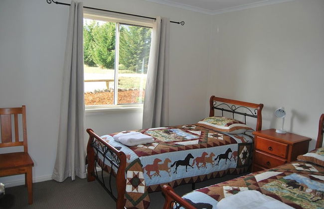 High Country Trail Rides & Farm Stay - Photo 3