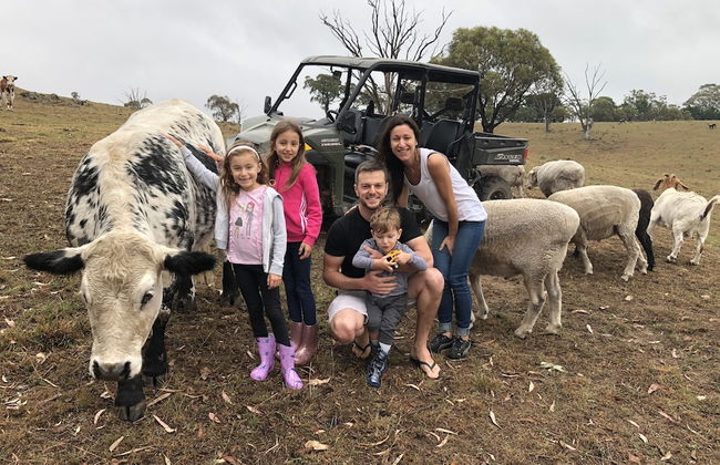 High Country Trail Rides & Farm Stay - Photo 12