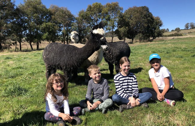 High Country Trail Rides & Farm Stay - Photo 19