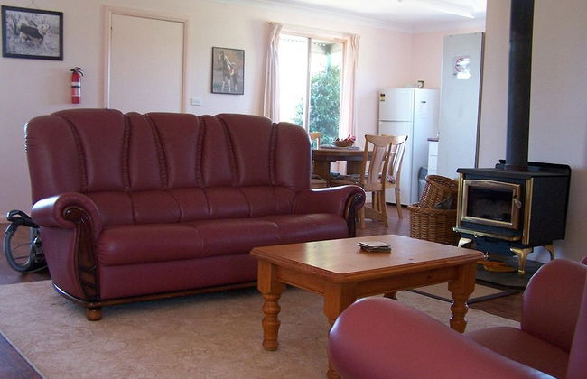 High Country Trail Rides & Farm Stay - Photo 6