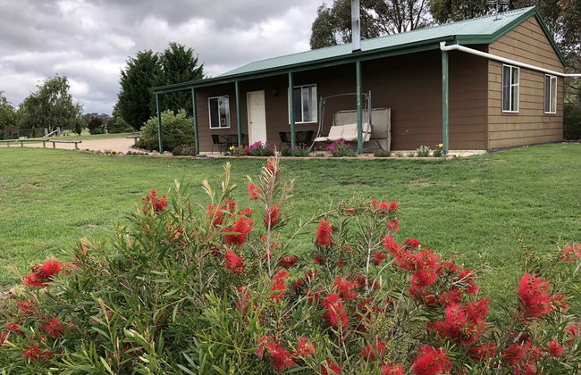 High Country Trail Rides & Farm Stay - Photo 14