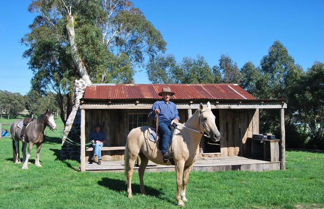 High Country Trail Rides & Farm Stay - Photo 11