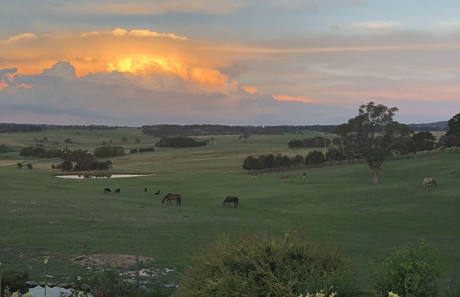 High Country Trail Rides & Farm Stay - Photo 13