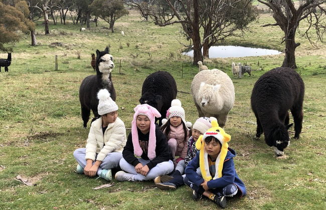 High Country Trail Rides & Farm Stay - Photo 18