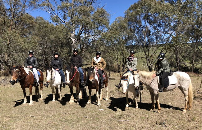 High Country Trail Rides & Farm Stay - Photo 10