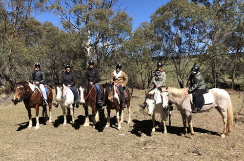 Photo 10 - High Country Trail Rides & Farm Stay