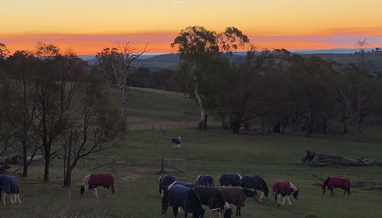 Photo 1 - High Country Trail Rides & Farm Stay